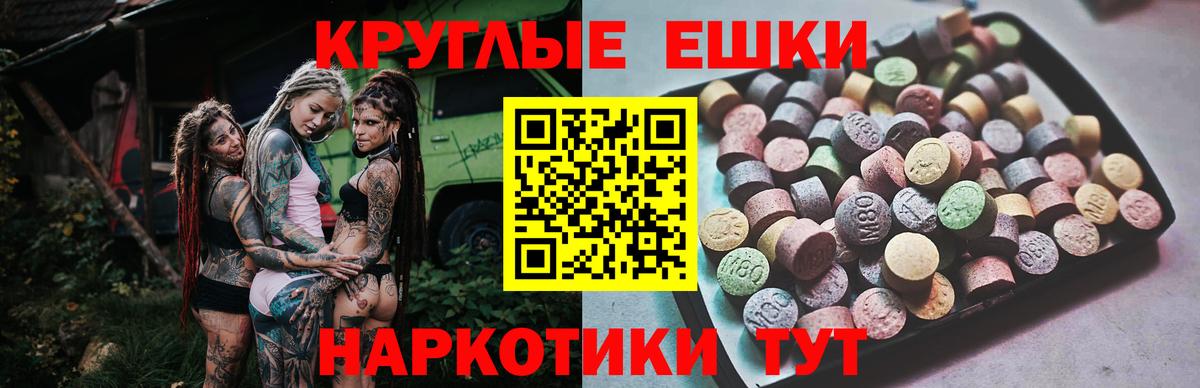 Вольск  Ecstasy Philipp Plein  Вход с VPN  Ecstasy круглые 