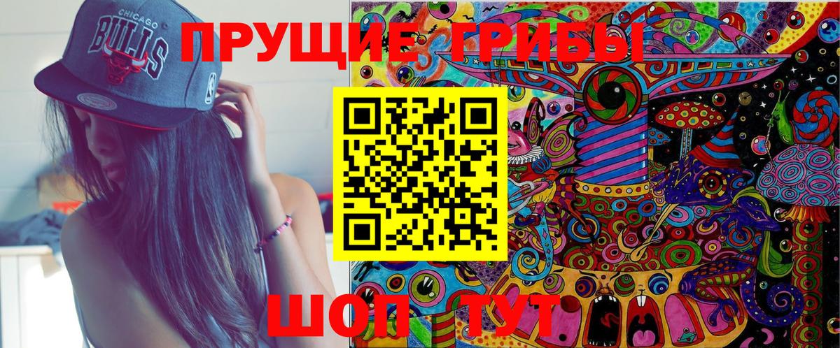 Вольск  Псилоцибиновые грибы Psilocybe  Вход с VPN  Псилоцибиновые грибы MAGIC MUSHROOMS 