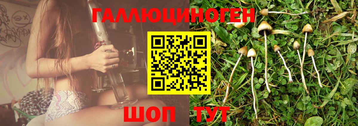 Псилоцибиновые грибы GOLDEN TEACHER Вольск